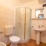 Rovenska House בית הארחה וולי לוסיניי